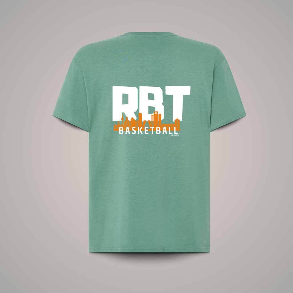 Camiseta Algodón RBT Skyline